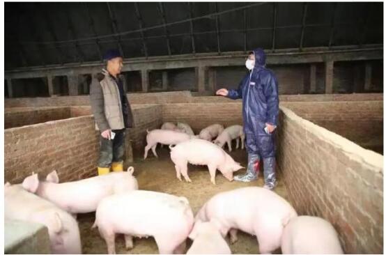 数字人民币应用保险+期货.jpg 数字人民币应用保险+期货.jpg