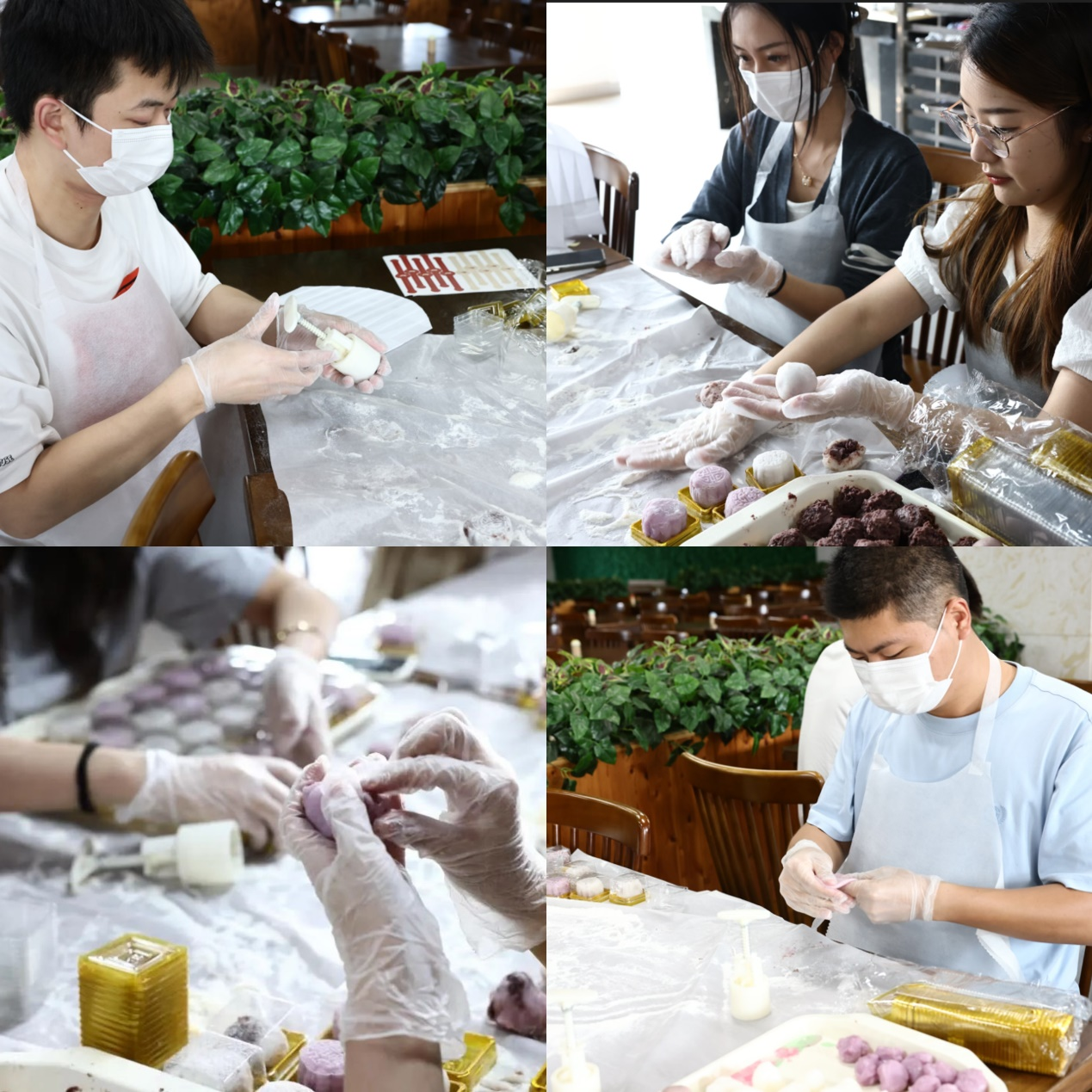 图片2.png 图片2.png