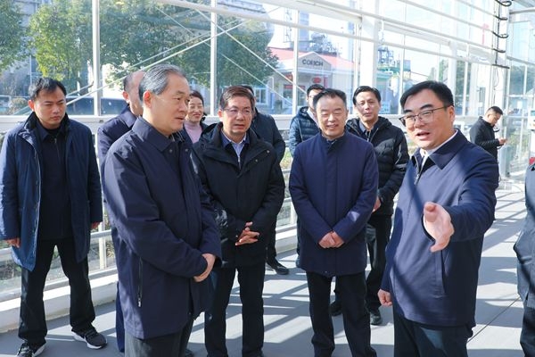 2025010817472626782.jpg 2025010817472626782.jpg